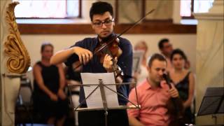 AIMA Festival Orchestra Plays Haydn - Serenade