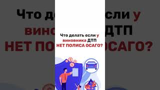 Что же делать, если у виновника ДТП нет полиса ОСАГО? 👇🏻  #страховка #чп #дтп #авто