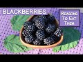 Blackberries and Their Beneficial Properties | Top Reasons to Eat Them