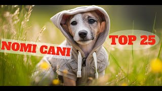 TOP 25 migliori nomi per cani maschio e femmina in ITALIANO! 🐕Idee di nome di cane🐕 #cane #cani