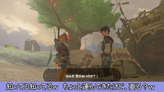 【ブレワイ】ブレワイが壊れた～無限赤月編～【ドリカラ】【ゼルダの伝説ブレスオブザワイルド,BotW,ゼル伝,字幕実況】