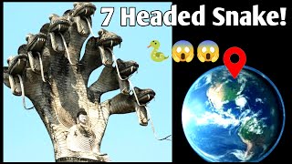 Big 7 headed Snake sculpture found on Google Earth | Fine Earth