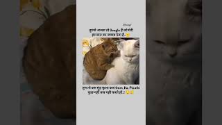 Tumse to axa #song #music #trending #cat #catvideos #youtubeshorts #funny #hindisong #shortsviral