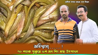 ৭০ শতকে ৬শ মন শিং মাছ উৎপাদন। মাছ চাষ পদ্ধতি। Fish Farming 2024 | ক্যাটফিস বি ডি ৪৪৪