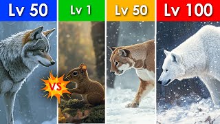 Wolf vs Wild Woodland Animals Level Challenge | Animal Fight Dream