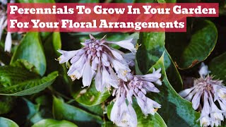 Perennial Magic! Unusual Cut Flower Choices to Elevate Your Floral Arrangements