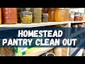 Homestead Pantry Tour and Clean Out - Building My Own Grocery Store