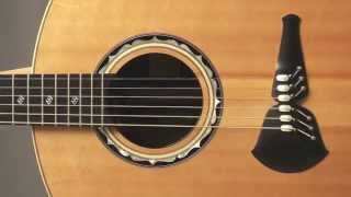 Guitar Gallery presents Steve Klein Acoustic Guitar