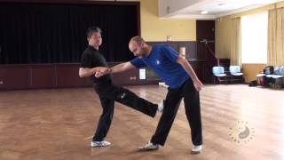 Wing Chun Kicking