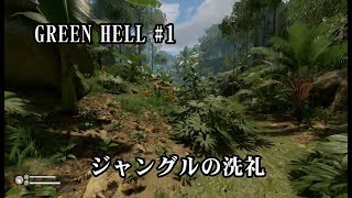 【GREEN HELL（グリーンヘル） 実況#1】　アマゾンで生きる。ジャングルでサバイバルするゲーム 【Survival mode】