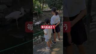 子どもを変える前に親が変わること #子育て #育児 #子育てパパ #子育て奮闘中 #子どもがいる生活