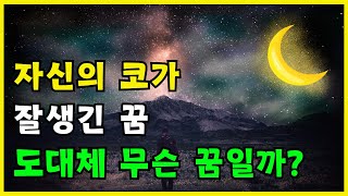 자신의 코가 잘생긴 꿈 해몽 풀이 길몽일까? | 꿈풀이사전 꿈 해몽