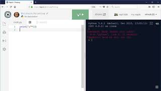 Python 3 - Using Print() and Input()
