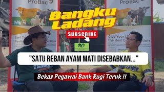 BANGKU LADANG EP 4| PENTERNAK AYAM KACUK-AHMAD IZHAR BIN SAIBON| BEKAS PEGAWAI BANK KINI MENTERNAK ?