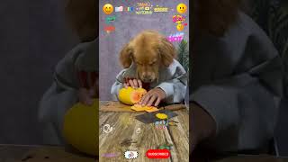 Big Yellow Papaya Cutting \u0026 Eating Funny video#subscribe#funny#funnyvideo#shorts#viral#youtubeshorts