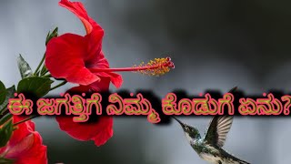 ಈ ಜಗತ್ತಿಗೆ ನಿಮ್ಮ ಕೊಡುಗೆ ಏನು??