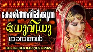 കോരിത്തരിപ്പിക്കുന്ന മധുവിധു ഗാനങ്ങൾ | Mappila Pattukal Old Is Gold | Malayalam Mappila Songs