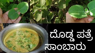 ದೊಡ್ಡ ಪತ್ರೆ ಸಾಂಬಾರು recipe # kannada vlogs