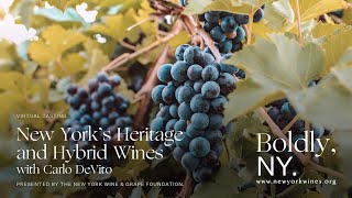 New York's Heritage \u0026 Hybrid Wines with Carlo DeVito​