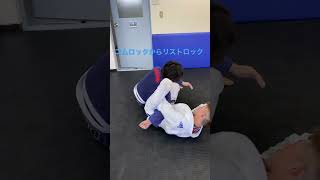 ［柔術テクニック］コムロックからリストロック#bjj#jiujitu#ブラジリアン柔術#ブラジリアン柔術テクニック動画 #柔術