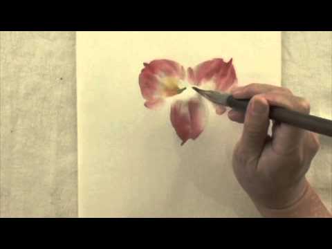 Brushes Youtube