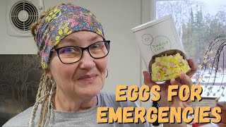 Why Freeze Dried Eggs Are a Must Have in Your Pantry