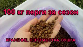 100 кг перги за сезон - хранение, переработка, сушка