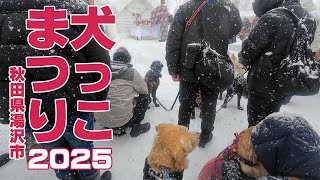 【愛犬祈願】犬っこまつりは犬愛にあふれた人たちでいっぱいでした！