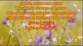 Relaxation with wonderful scenes of nature 1 الإسترخاء مع مشاهد رائعة من الطبيعة