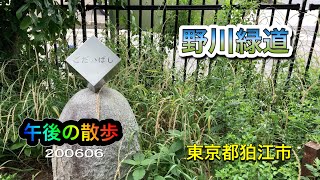 午後の散歩：野川緑道（東京都狛江市）