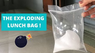 The Exploding Lunch Bag | SANDWICH POP | Vinegar and Baking soda Experiment | Chemical Reaction