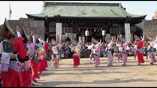 天神天満阿波おどり・本殿前演舞『関西阿波おどり協会』選抜踊り