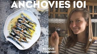 Anchovies 101 : Basque Country