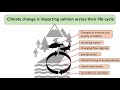 psf climate adaptation workshop climate change in salmon systems