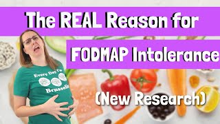 The REAL Reason for FODMAP Intolerance New Research