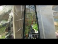 how to repair garden greenhouse zipper seam tears with duct tape the rusted garden 2013