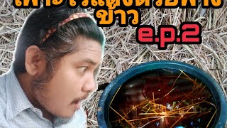 เพาะไรแดงด้วยฟางep.2