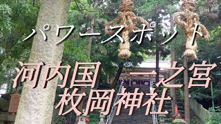 [枚岡神社]大阪のパワースポットに行って来た！そこには鹿の守り神が…梅林公園とても広い！