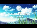 Lil Nas X, Miley Cyrus - AM I DREAMING (Lyrics)