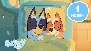 🔴LIVE: Boxing Day Fun and Restful Moments 💤 🛌 | Bluey