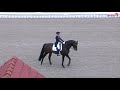 franziskus cdi 4* grand prix kür horses u0026 dreams hagen 2019