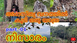 കോട്ടൂർ വനത്തിൽ കുടി ഒരു യാത്ര/നിസാരം part -01/vlog /malayalam /videos