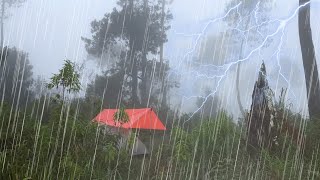 SOLO CAMPING HEAVY RAIN AND THUNDERSTORM - RELAXING RAIN SOUNDS - CAMPING ASMR