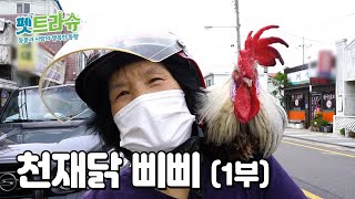 오토바이 타는 닭이 있다?! / There's a chicken riding a motorcycle?!