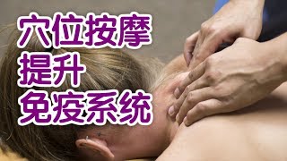 如何通过穴位按摩提升免疫力?|中医养生按摩Acupressure Massage