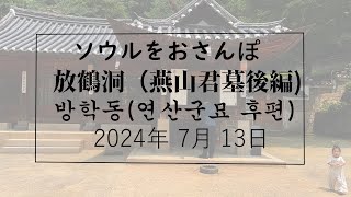 【韓国/한국】ソウルをおさんぽ　vol.272　2024.07.13 放鶴洞（燕山君墓後編）編