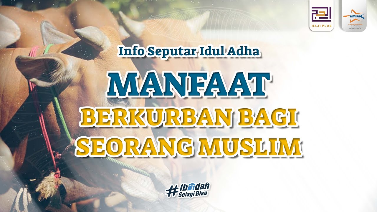 Manfaat Berkurban Bagi Seorang Muslim | Info Seputar Idul Adha - YouTube