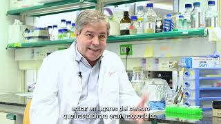 Investigador del IDIBAPS Jordi Alberch explica su investigación en enfermedades neurodegenerativas