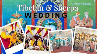 Tibetan Sherpa Wedding | टिबेटेन-शेर्पा विवाहको  झलक | #tibetan #sherpa