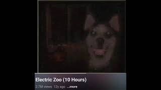 electric zoo 10 hours